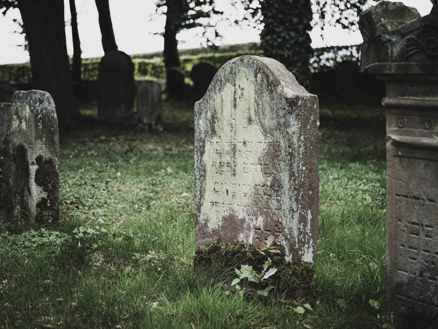 Lichtenau (Westfalen), Jüdischer Friedhof